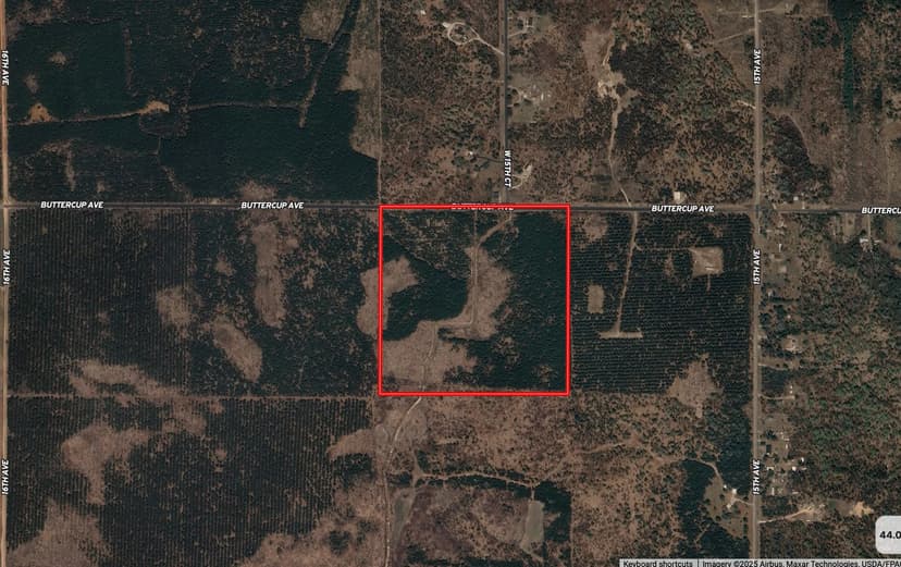 40-acre timber tract in Adams County