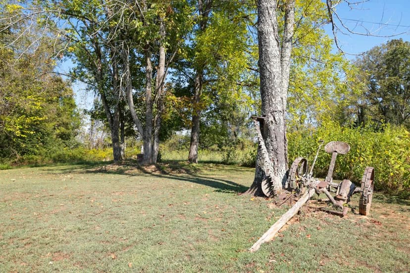 The Falls at Big Branch