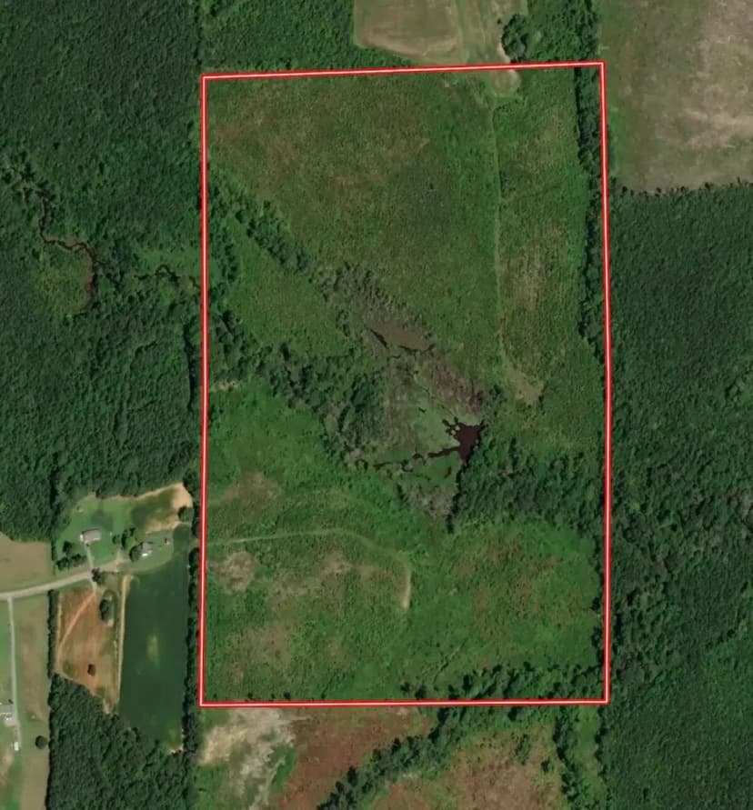 UNDER CONTRACT!! 59.04 acres of Recreational Land for Sale in Halifax County, VA!