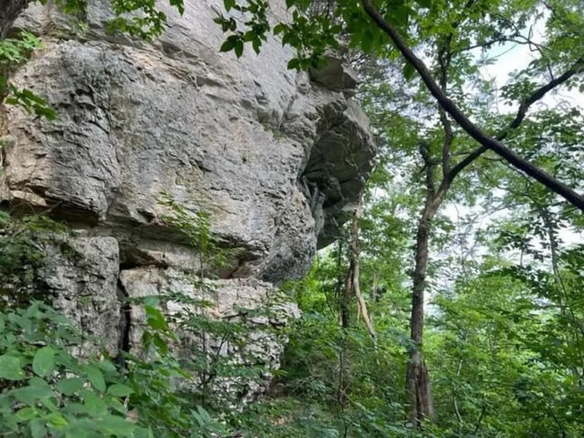 9999 Sunrise Valley Tract 3 Road