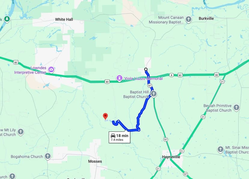 145.97 Acres in Lowndes County, AL