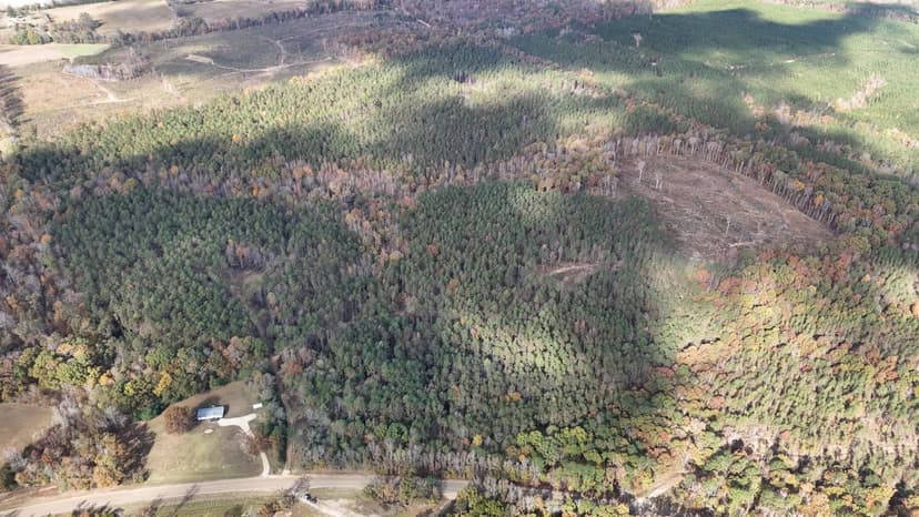 156 Acres in Calhoun County, MS