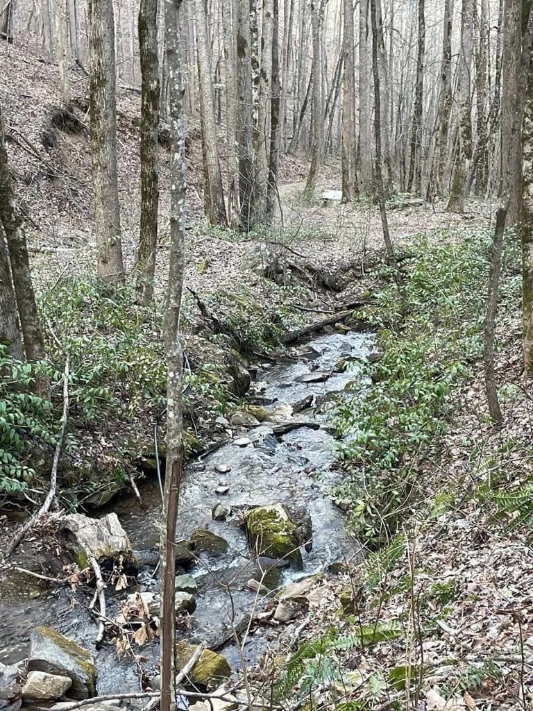 Property from 0 White Oaks Road - KW