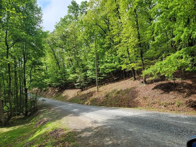 Lots & Land-Other in Ellijay