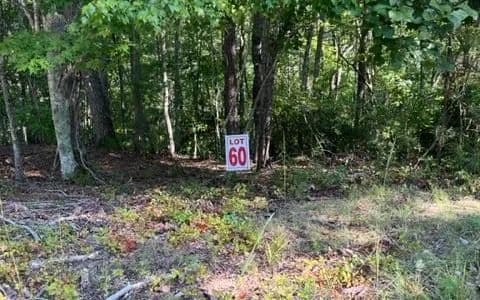 Lots & Land-Other in Ellijay