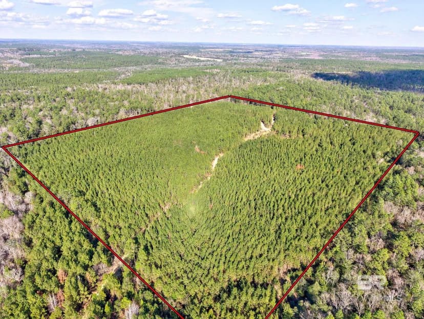 Property from 0 Jones Lane - KW