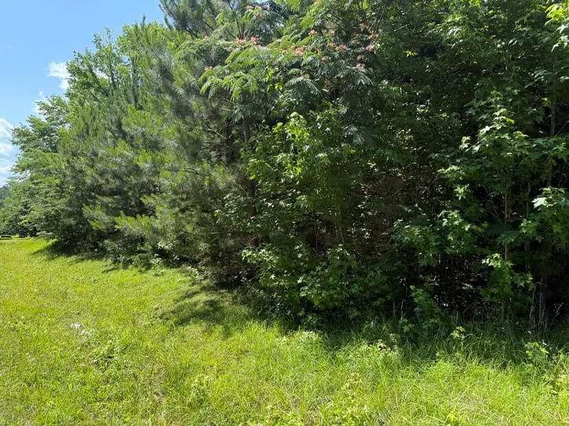 Vacant Land in Warm Springs