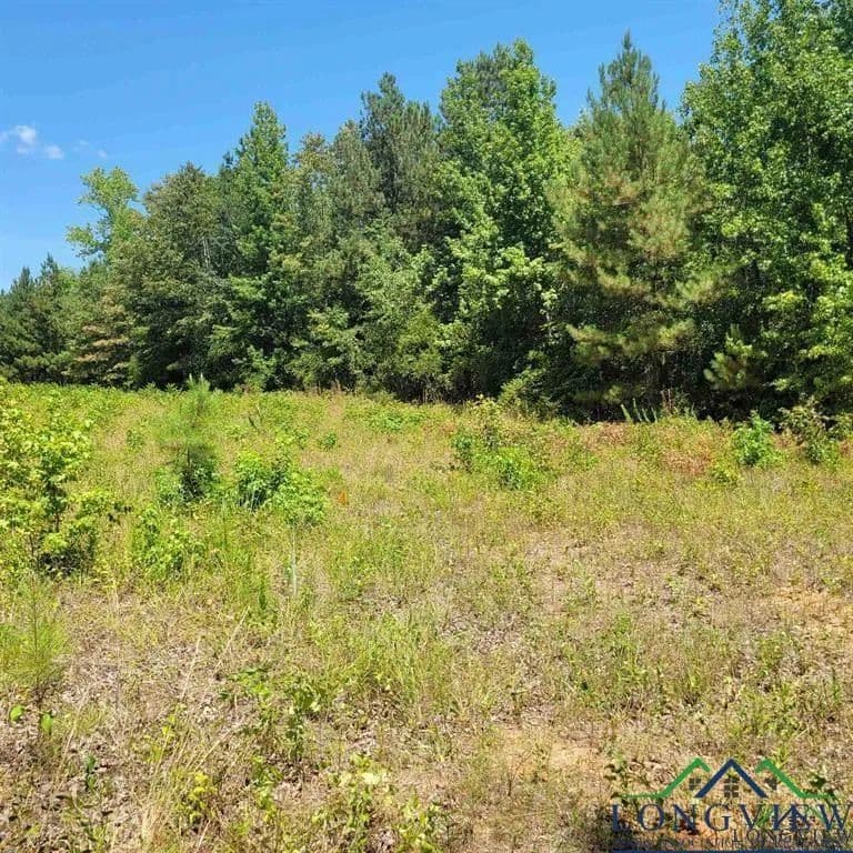 Lots & Land-Other in Harleton