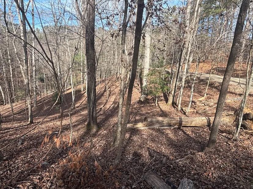 Lots & Land-Other in Ellijay