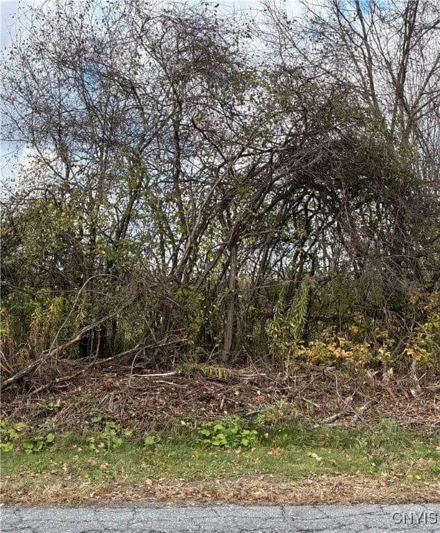 Property from Hinds Rd - Lot #3 - Blue - KW