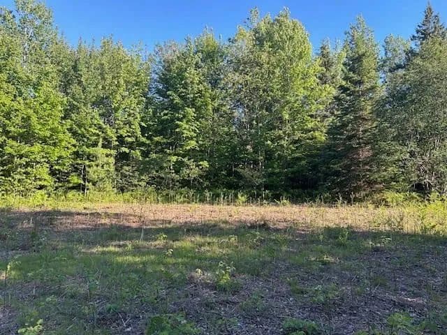 Property from 8586 N US 31 - KW