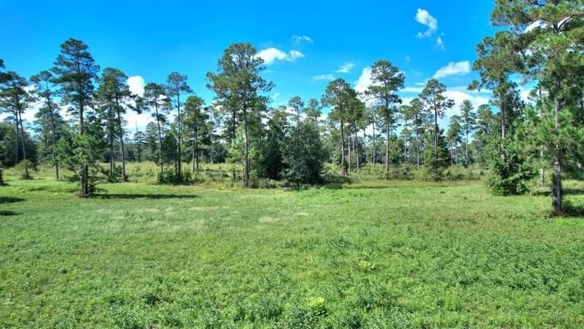 Lots & Land-Other in Cordele