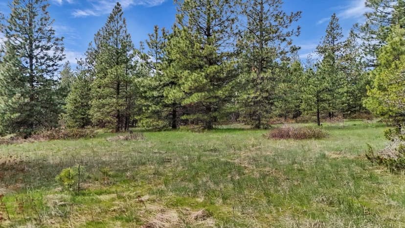 Property from NKA E Slaton Rd - KW