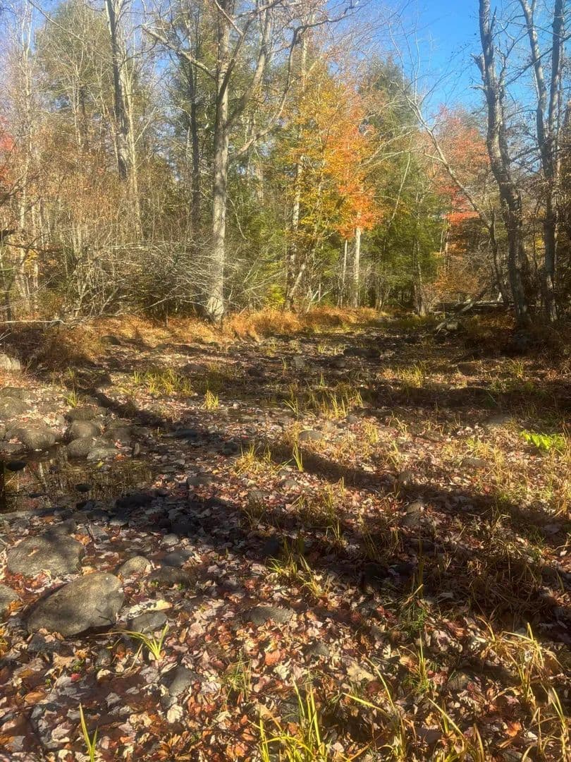 Property from 0000 Kimball Schoolhouse RD Lane - KW