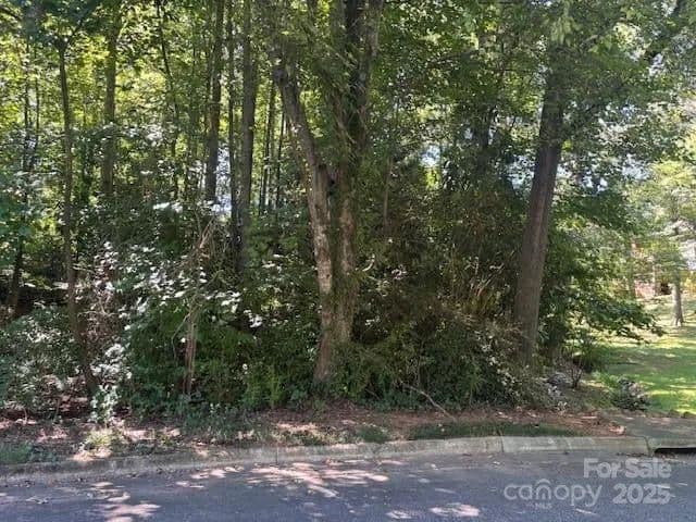 Lots & Land-Other in Hickory