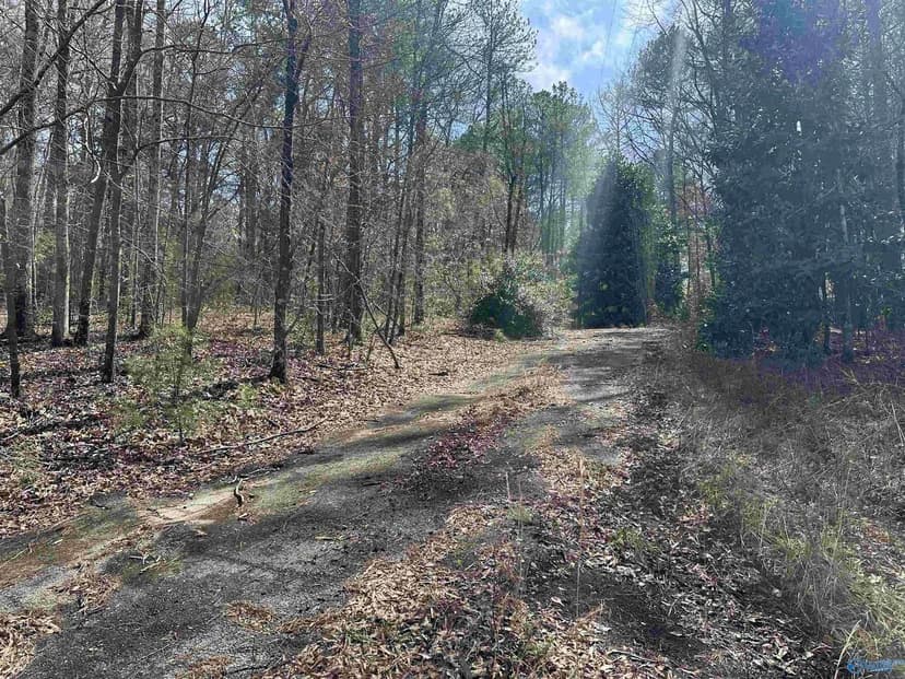 Property from Lot 0 Dearmanville Road - KW