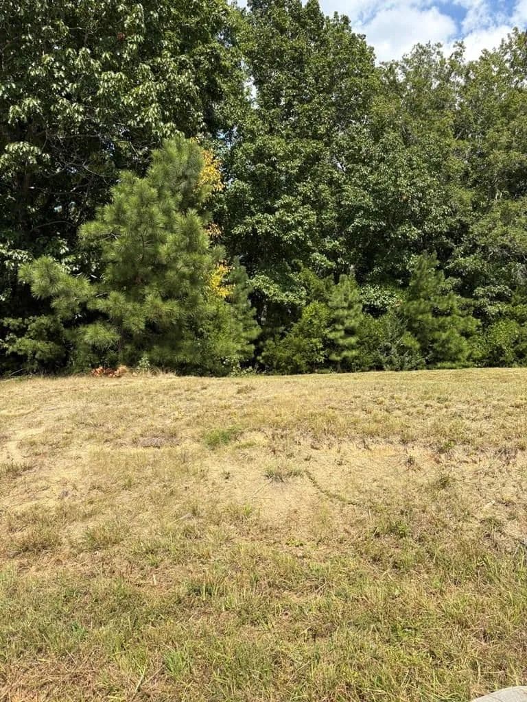 Vacant Land in Clarksville
