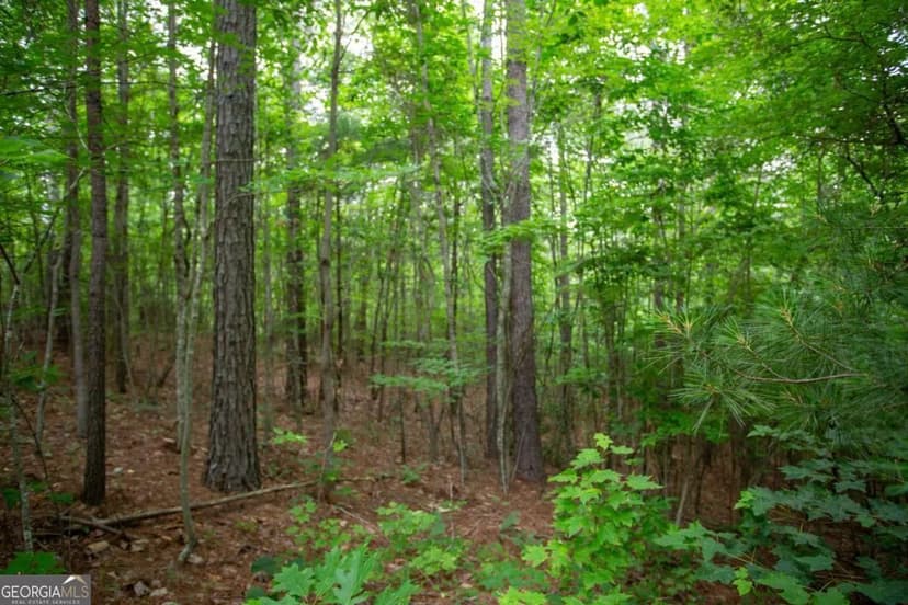 Property from 6480A Highway 52 W - KW