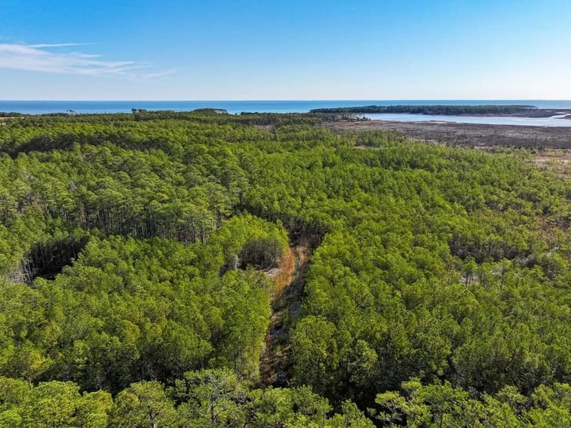 UNDER CONTRACT!! 248.118 Acres of Recreational, Residential, and Investment Land in Mathews County, VA!