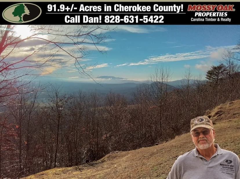91.94+-Unrestricted Acres in Murphy, NC!