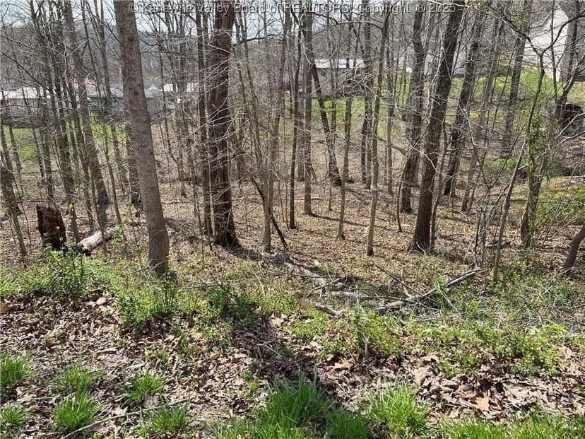 Lots & Land-Other in St Albans