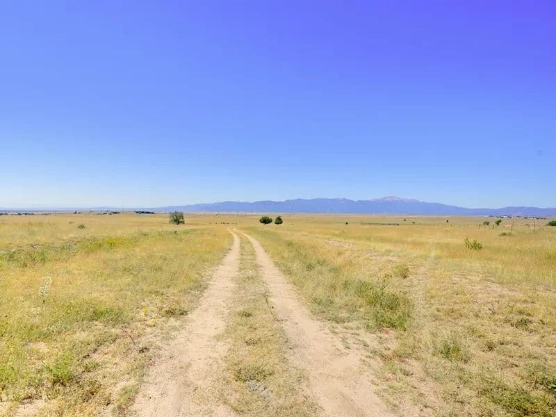 Lot 6 - It's all about country living but still being close to the conveniences of the city.