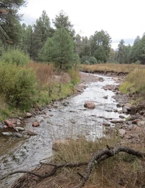Grant County, NM Gila National Forest Inholding Tracts