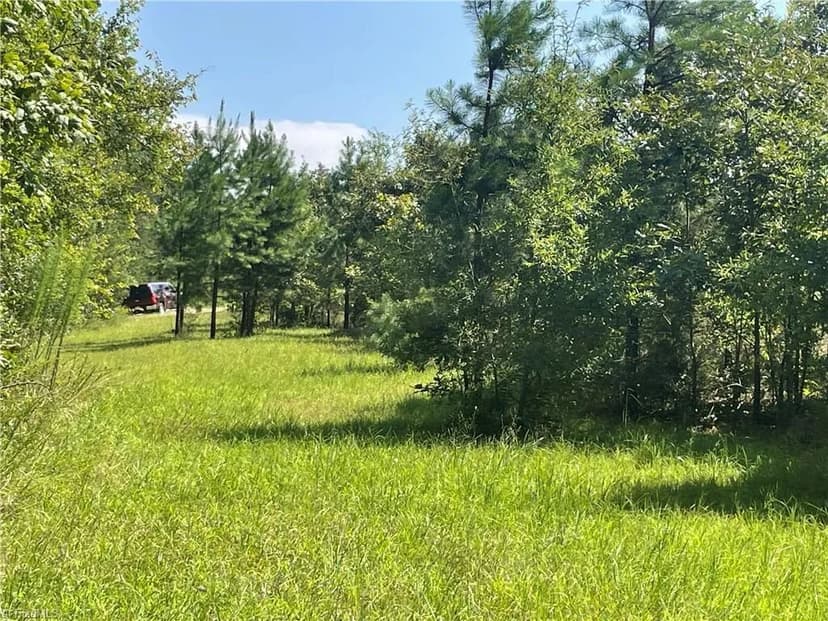 Vacant Land in Thomasville