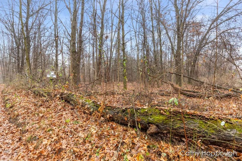 Property from V/L W Snows Lake Road #Parcel 1 - KW