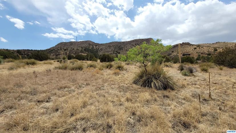 Vacant Land in Mimbres
