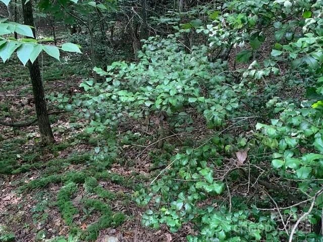 Property from 7.67 AC. HOLBERT COVE Road #7.67 AC. - KW