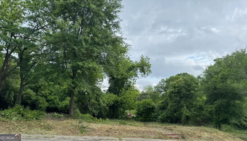 Lots & Land-Other in Macon