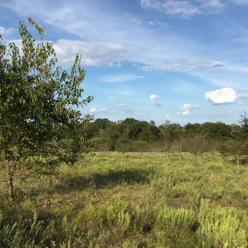 Property from 40 Acres NE County Road 2160 #0 - KW