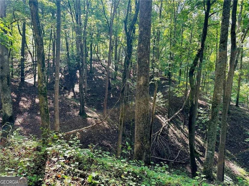 Property from 7.123 Acres Halls Mill Road - KW