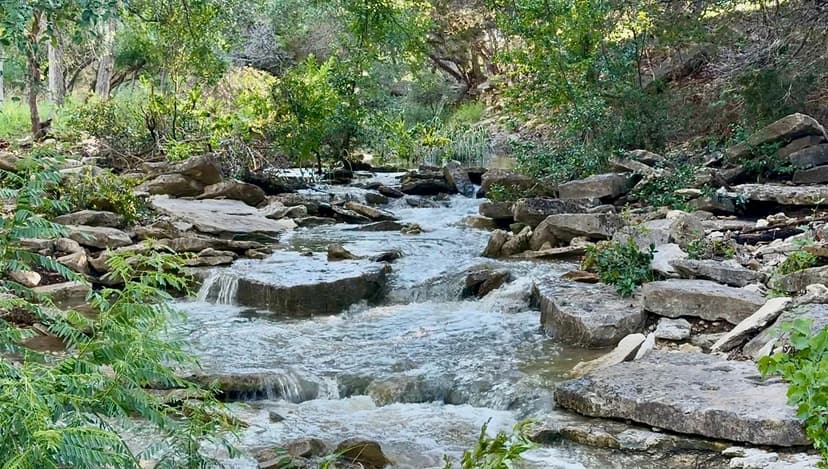 Property from 3575 Fm 932 - KW