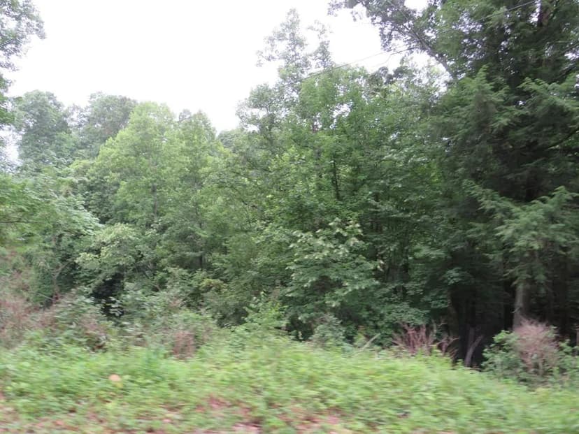 Lots & Land-Other in Flat Gap