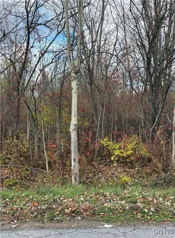 Property from Hinds Rd - Lot 2 - Purple - KW