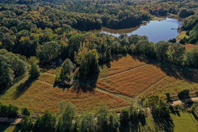 Carroll County 80 Acres, Hardwoods, Pasture and Lake