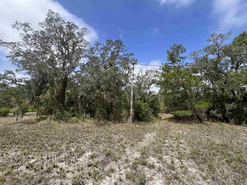 Lots & Land-Other in Panacea