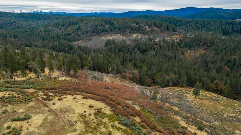 Property from 0 Pine Tree Lane - KW