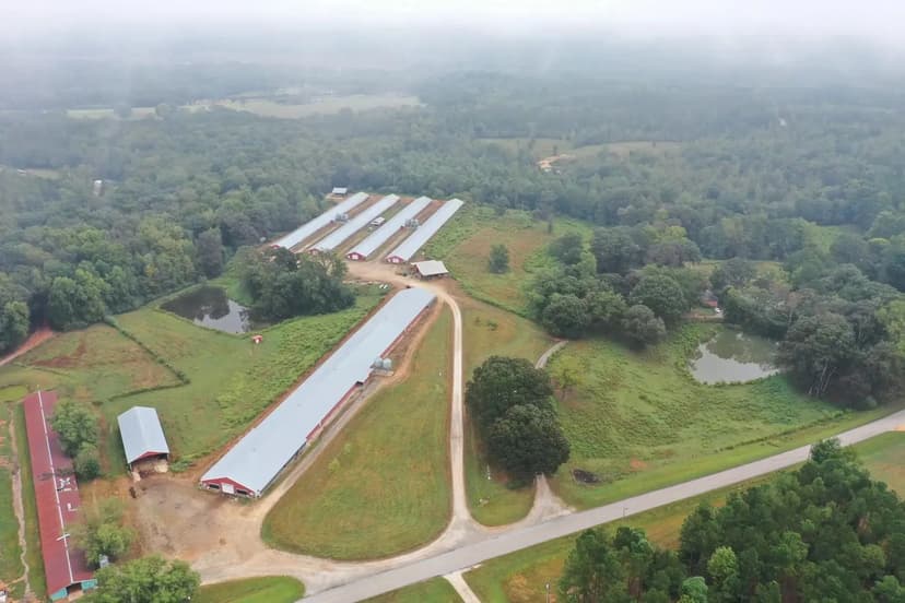 Corley Broiler Farm