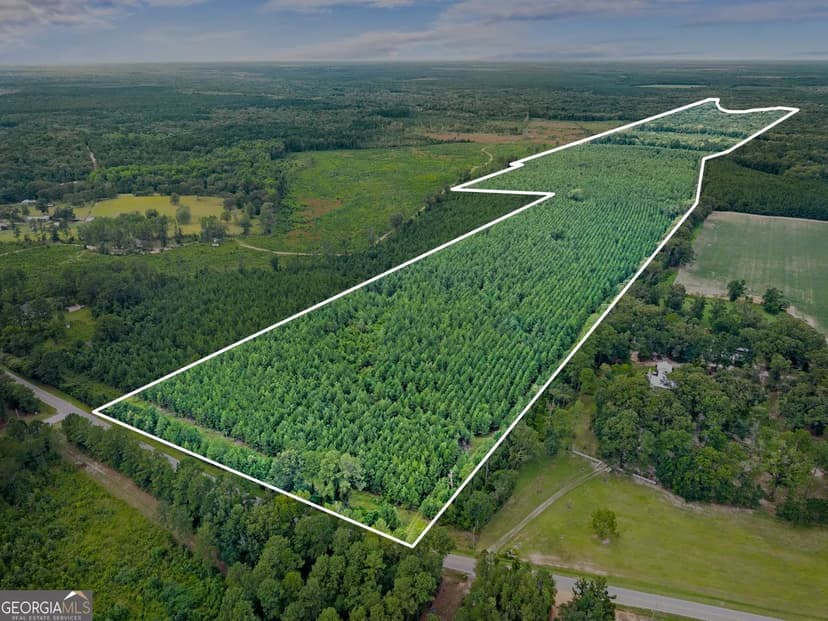 Vacant Land in Statesboro