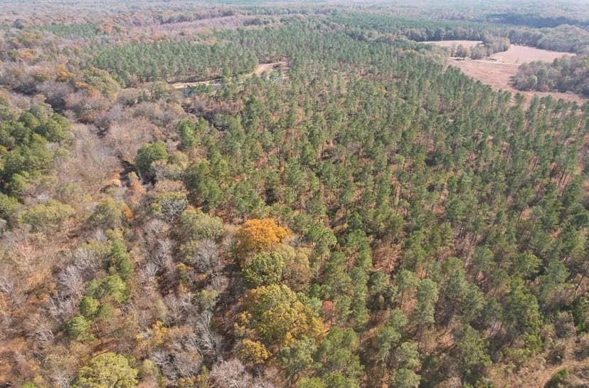 67 Acres in Carroll County in Carrollton, MS