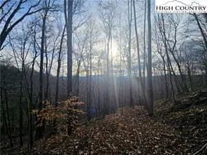 Vacant Land in Grassy Creek