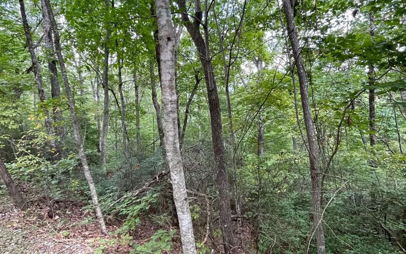 Lots & Land-Other in Hayesville