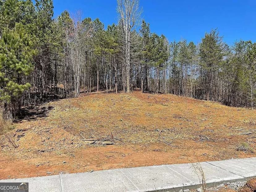 Vacant Land in Gainesville
