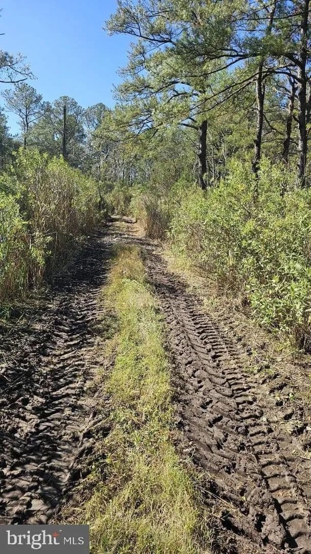 Lots & Land-Other in CRISFIELD