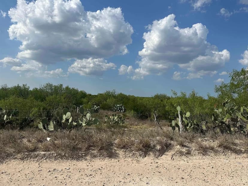 Vacant Land in Laredo