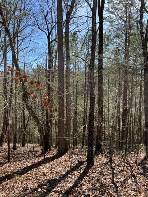 Lots & Land-Other in Ellijay