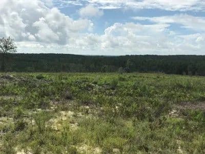 Turkey Ridge Tract B